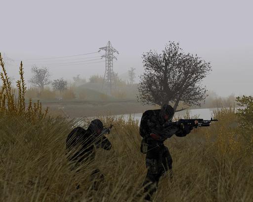 В тылу врага 2: Лис пустыни		 - Stalker Mod