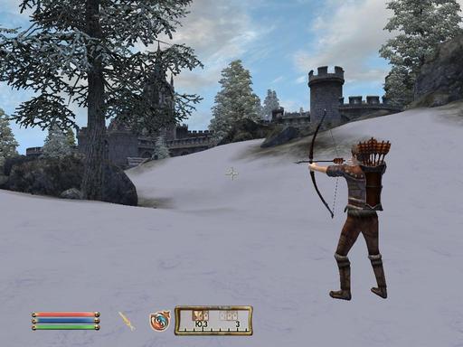 Elder Scrolls IV: Oblivion, The - Дневник имперского гастарбайтера. Том третий.