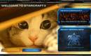 Bnetmenu_cat