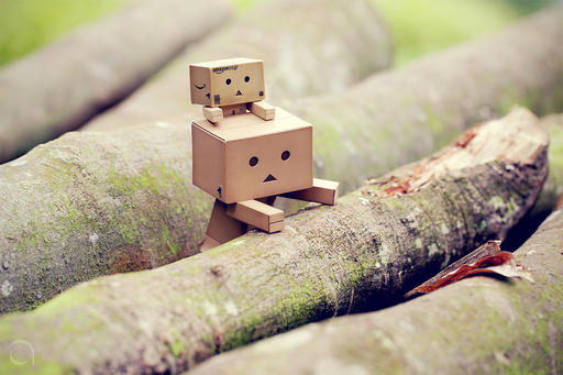 Обо всем - Danbo или новый тренд картонных человечков