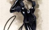 Catwoman_adam_hughes_2011