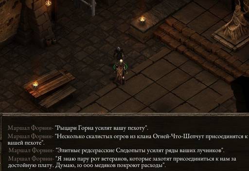 Pillars of Eternity - «Pillars of Eternity»  - впечатления нуба (часть седьмая, заключительная)