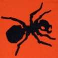 The_ant